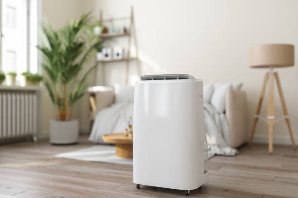Best HVAC Tune-Up Services  in Seth Ward, TX
